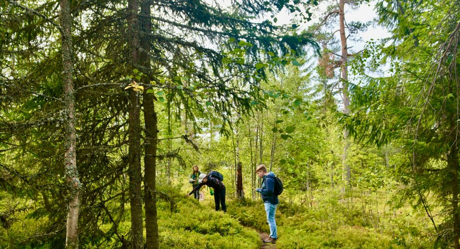 Lybergsgnupen hike activiteit